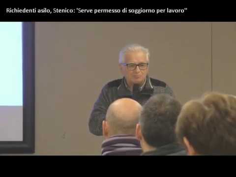 'Permesso di soggiorno per lavoro, il Pd non può... forse le sardine'