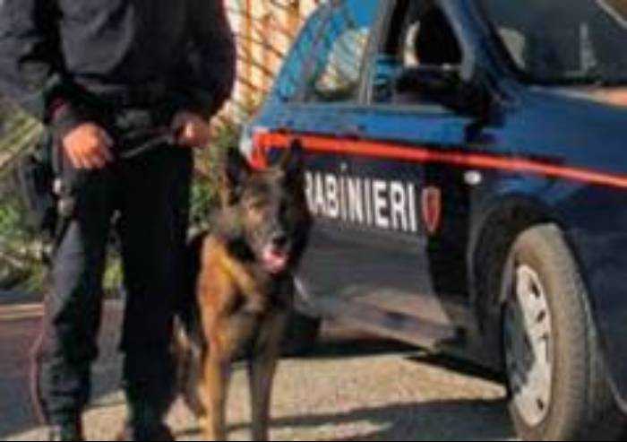 Modena, in aumento i reati per droga, al Novi Sad altri due fermati