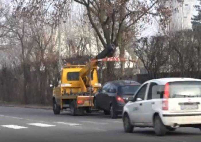 L'investitore di Marco indagato per omicidio stradale