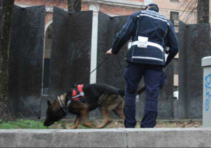 Polizia municipale, Modena ha acquistato un cane antidroga