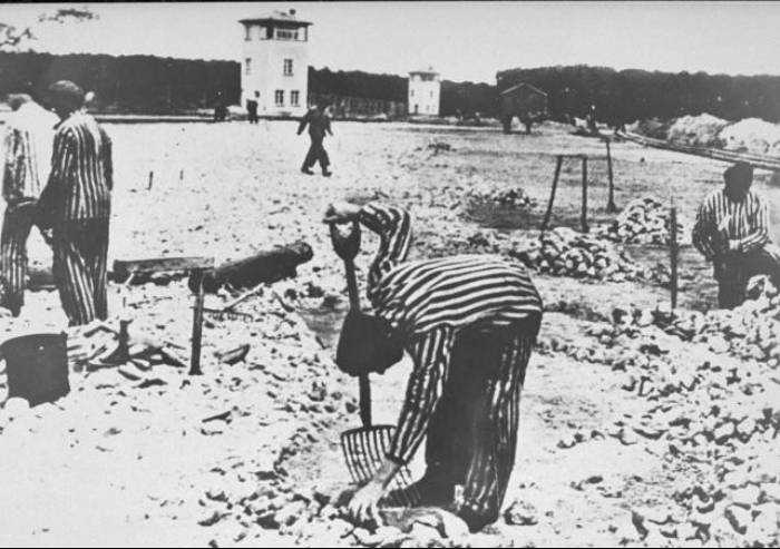 Memoria, Segre: 'Siate vigili nel respingere xenofobia e razzismo'