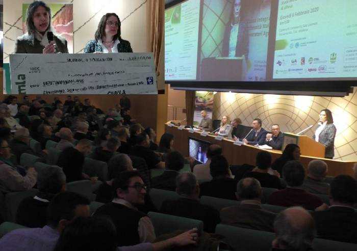 Cimice asiatica, Ciimla finanzia la ricerca: la soluzione è possibile