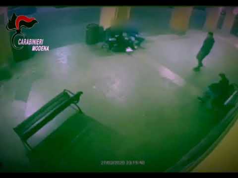 Carpi, si fa filmare mentre imbratta muri: denunciato vandalo straniero