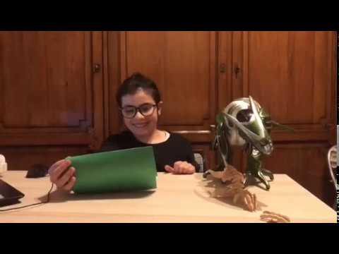 Il video di Virgina di Modena, i dinosauri contro il coronavirus