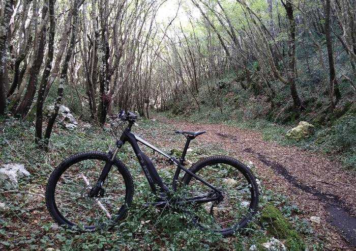 Covid, in bici nel bosco del suo Comune: multato ciclista di Zocca