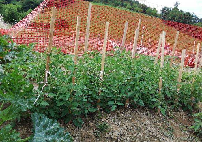 Cantiere 'green': un angolo ortofrutticolo tra cemento e gru edili