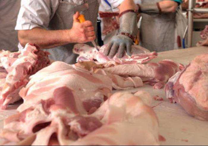 Focolai Covid: in regione tamponi obbligatori per logistica e carni