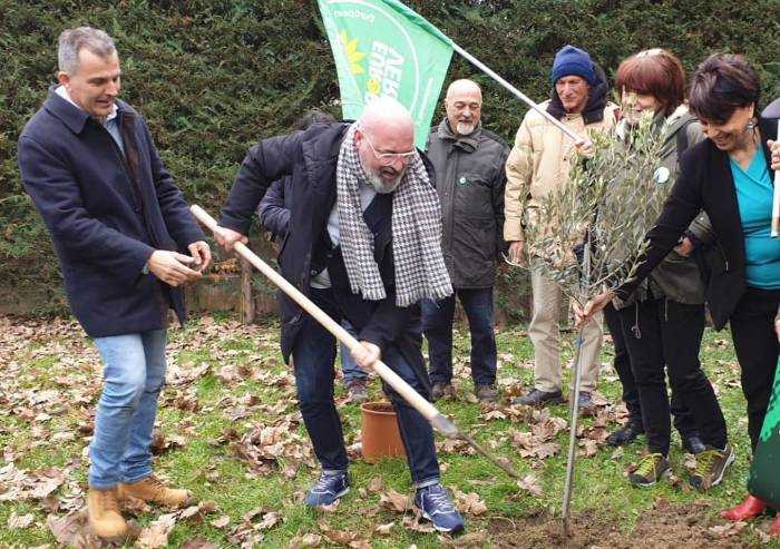 Bonaccini promise 4,5 milioni di nuovi alberi. Ma il bando è un flop