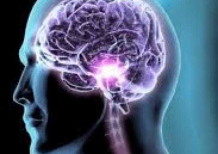 Epilessia lobo temporale: da studio Unimore novità nella ricerca