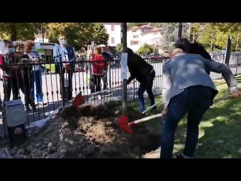 'Nuovi alberi? Spot di Bonaccini mentre dissesto idrogeologico avanza'