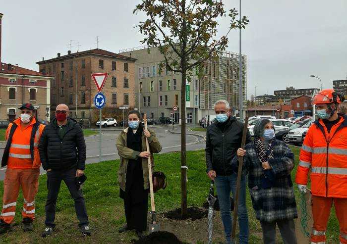 Una quercia nel deserto di cemento della Porta Nord