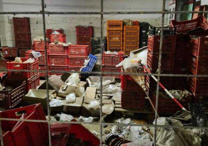 Alluvione Nonantola, danni devastanti anche al Museo archeologico