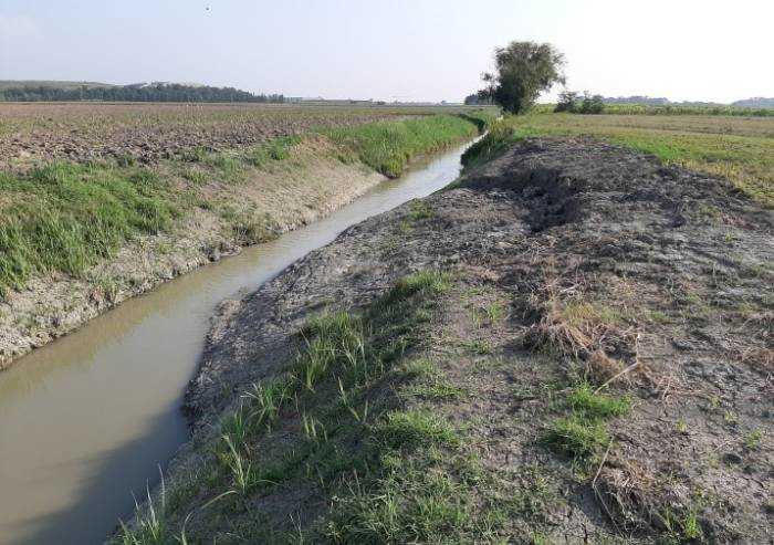 Mirandola: canali danneggiati, via ai lavori della Burana