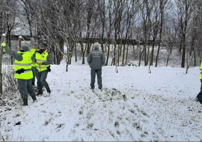 San Cesario, polizia provinciale libera caprioli in trappola