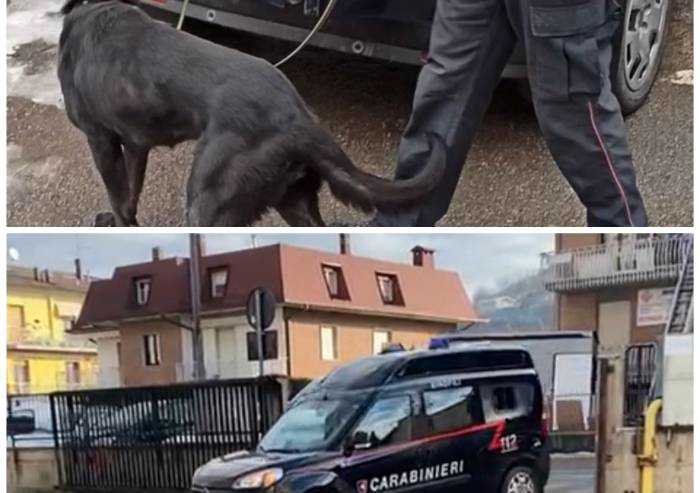 Pavullo, controlli con cane antidroga alle scuole superiori: tutto ok