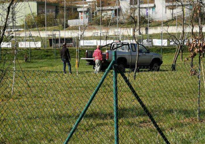 'Vignola, cosìla giunta Pd annuncia abbattimento di altri alberi'