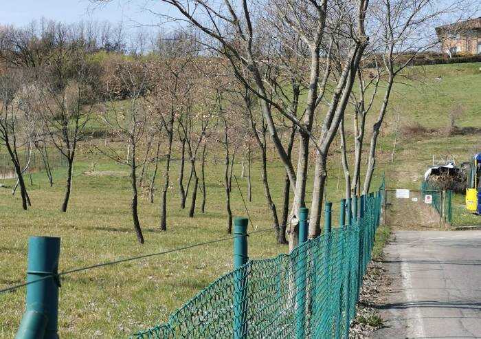 'Vignola, nessun atto formale sul Bosco delle api'