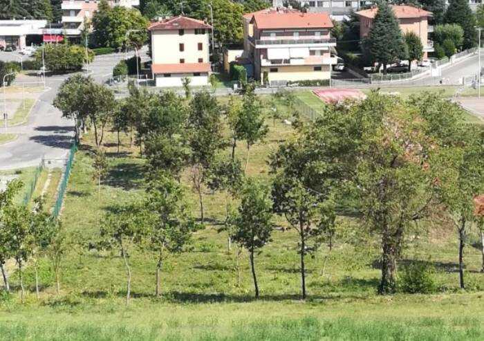 'Bosco delle api: la burocrazia difensiva della Giunta vignolese'