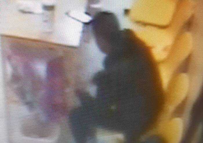 A Sassuolo, usavano lavanderia self-service per lo spaccio: arrestati