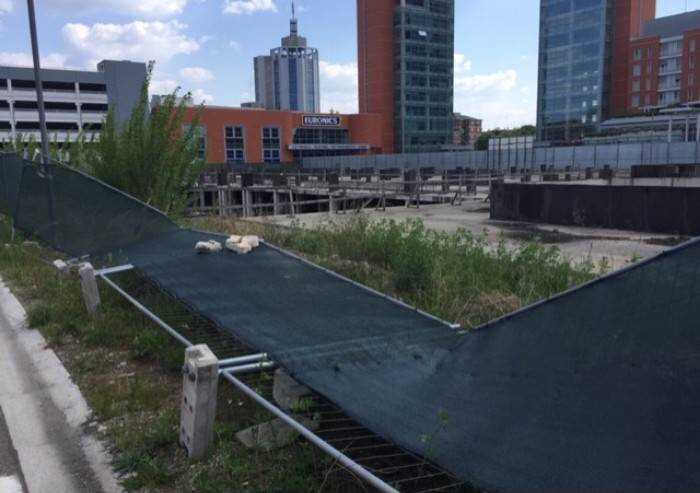 Modena sporca e degradata: cosìil Pd ricambia sforzi dei cittadini