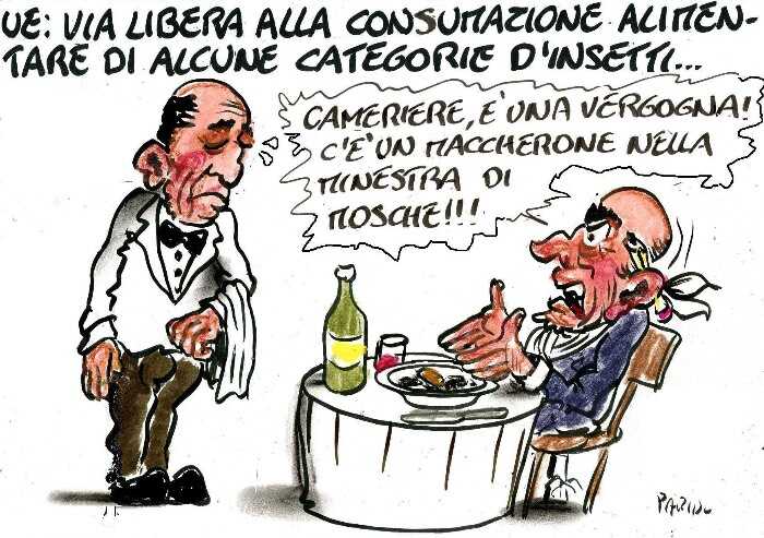 Con un pugno d'insetti nel piatto