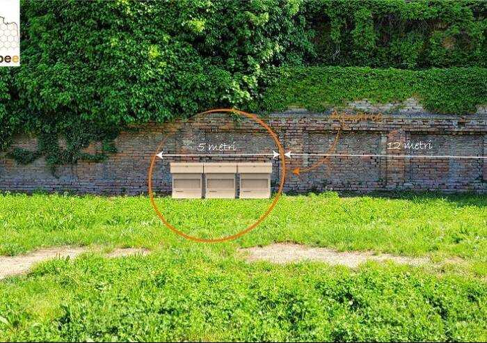 Ferrara, apicultura urbana: arnie a Palazzo Schifanoia