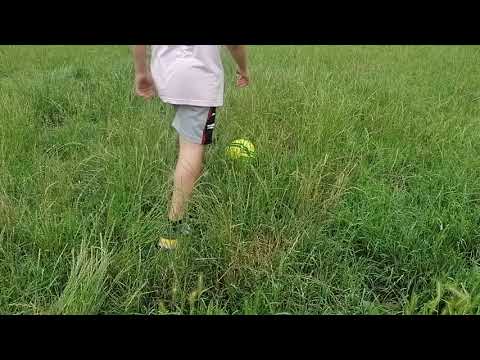 Parchi con erba troppo alta, aree verdi quasi impraticabili