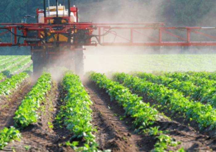 Le vendite di pesticidi in Italia sono crollate di circa 1/3 (-32%)