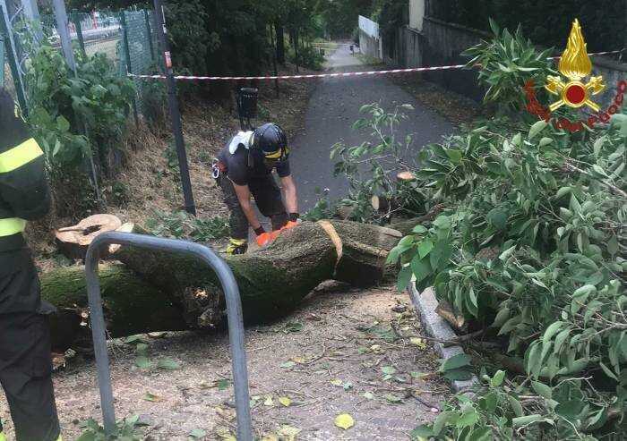 Nubifragio a Sassuolo: garage allagati e alberi abbattuti