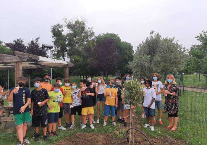 Scuola elementare Cognento, un ulivo per dire addio alla Dad