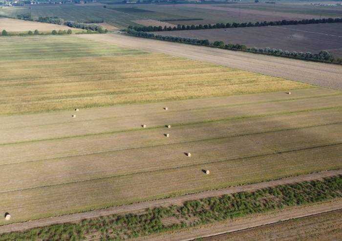 Nonantola: domani sorteggio terreni Partecipanza riparto decennale