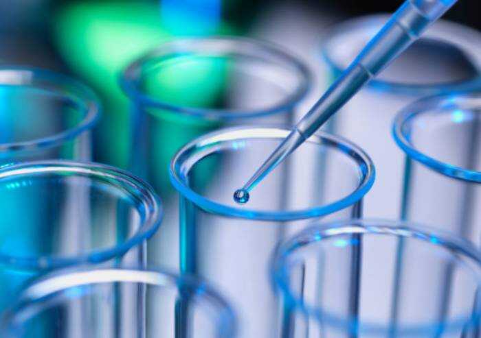 'Con la medicina rigenerativa puntiamo a ricostituire interi organi'