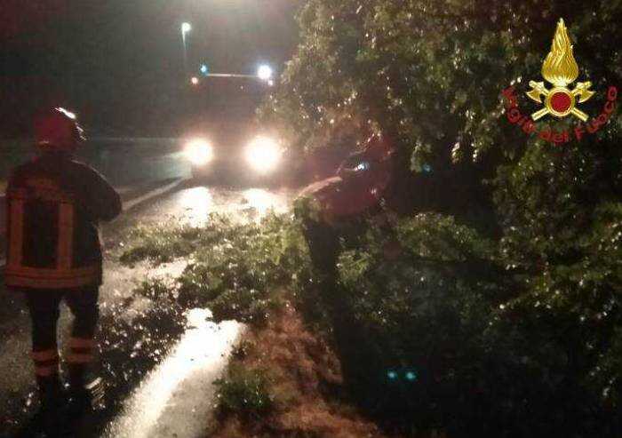 Allerta meteo, in arrivo pioggia vento e grandine