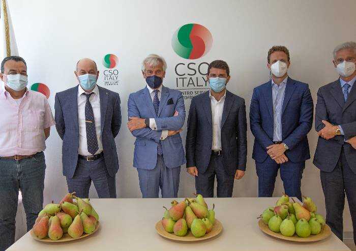 Nasce UNAPera, svolta per il futuro del frutto