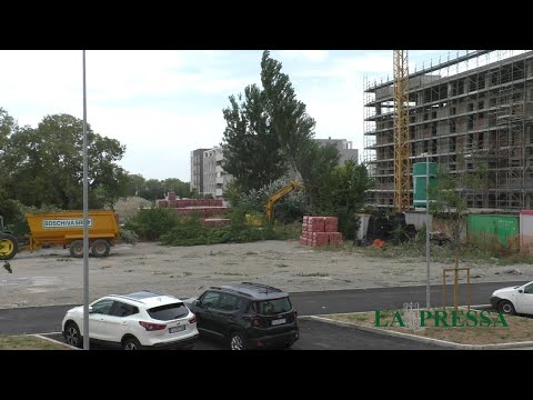 La strage di alberi in via Mercato e Soratore, le immagini