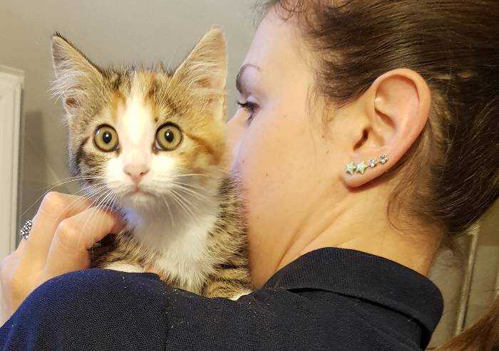 'Adottando un animale cambi il tuo e il suo mondo per sempre'