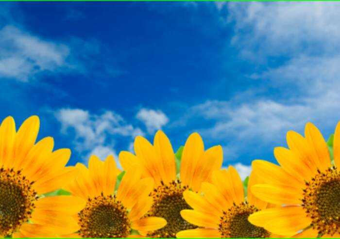 Meteo, a Modena fine settimana di bel tempo