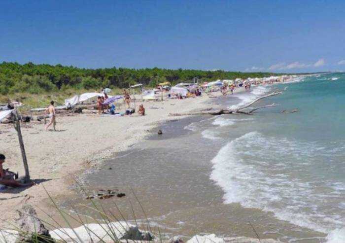 Ravenna, sesso in pineta: multati due uomini di 77 e 53 anni