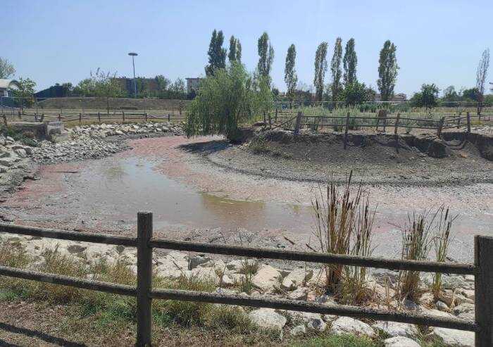 'San Felice, interramento laghetto delle Piscine: ennesimo fallimento'