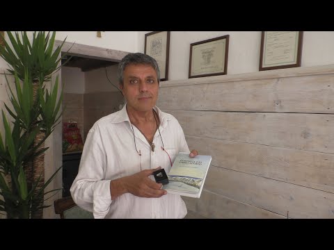 Il libro: Luca Errico e L'eremita del libro aperto