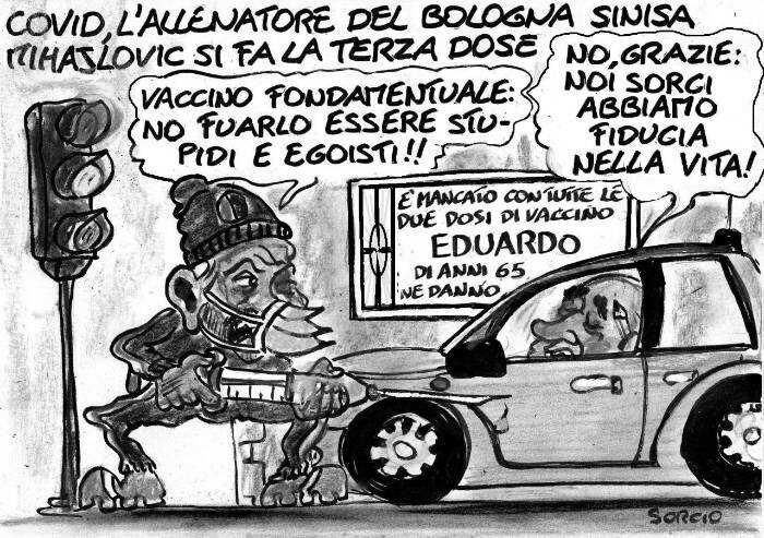 Voi sorci