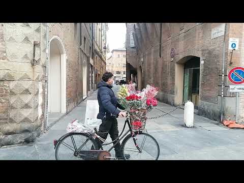 Mattinata di Natale, cartolina da Modena