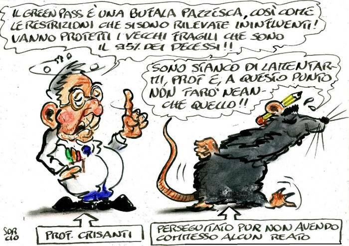Dalla parte dei sorci