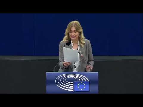 UE, scontro in aula Donato-Picierno