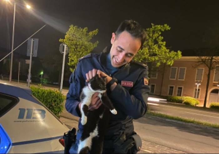 Carpi, gattino smarrito vaga tra le auto: salvato dalla polizia