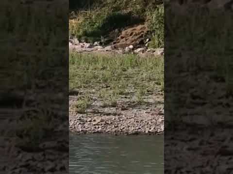 Spilamberto: lo scarico Far Pro nel fiume Panaro oggetto di un esposto