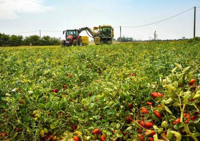 Gasolio agricolo schizza a 1.40 al litro: agricoltori in rivolta