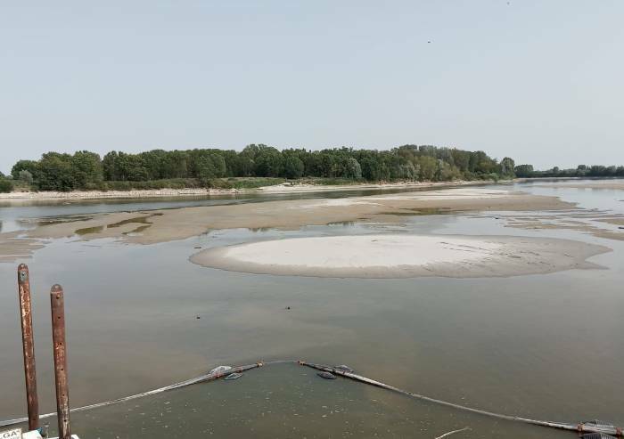 Coldiretti: 'Il 20% delle vongole soffoca in delta Po senz’acqua'