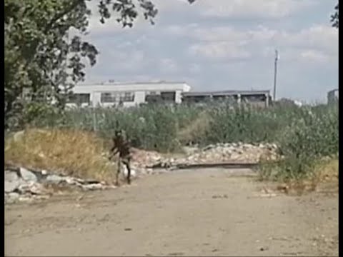 Degrado ex mercato bestiame: spacciatori lanciano sassi a chi si avvicina