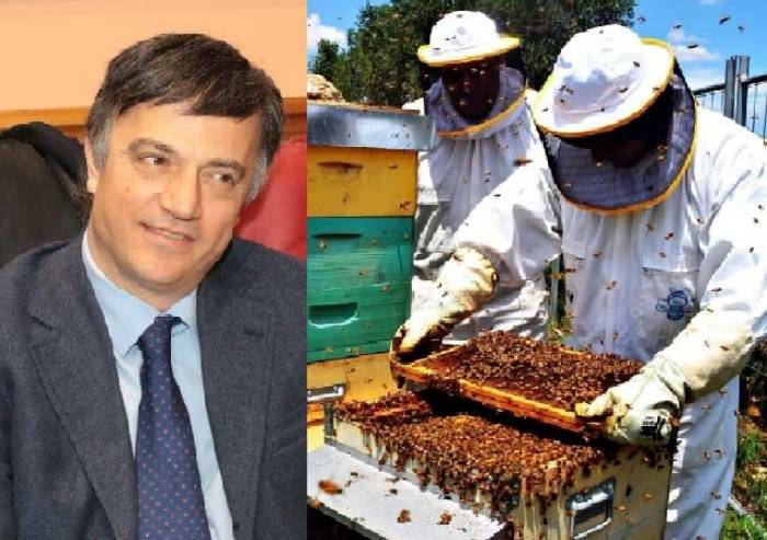 Galati (Centro destra): 'A fianco dell'apicoltura, settore vitale per tutti'